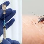 Nueva vacuna contra el dengue muestra alta eficacia